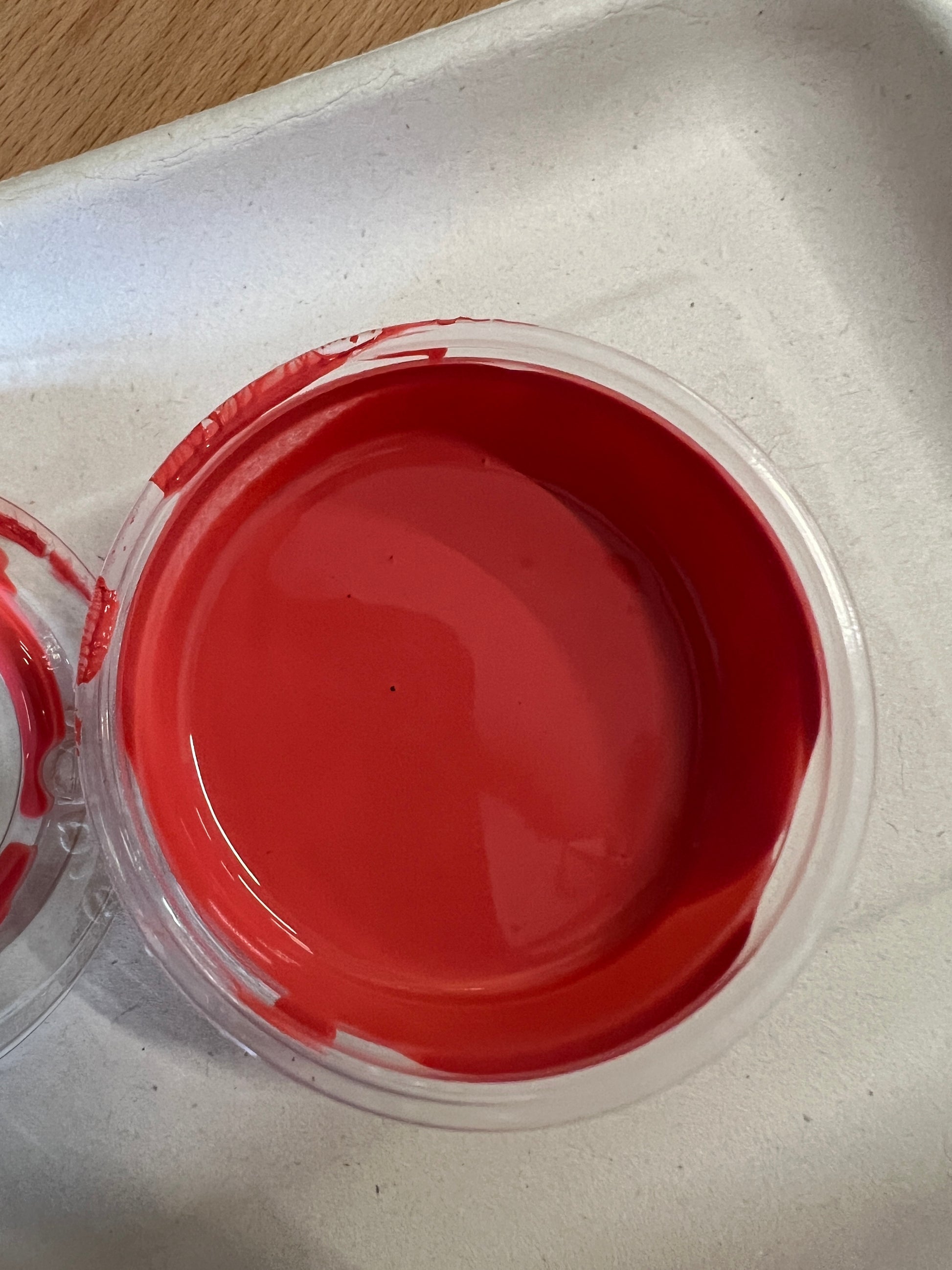 2025 Color Pots