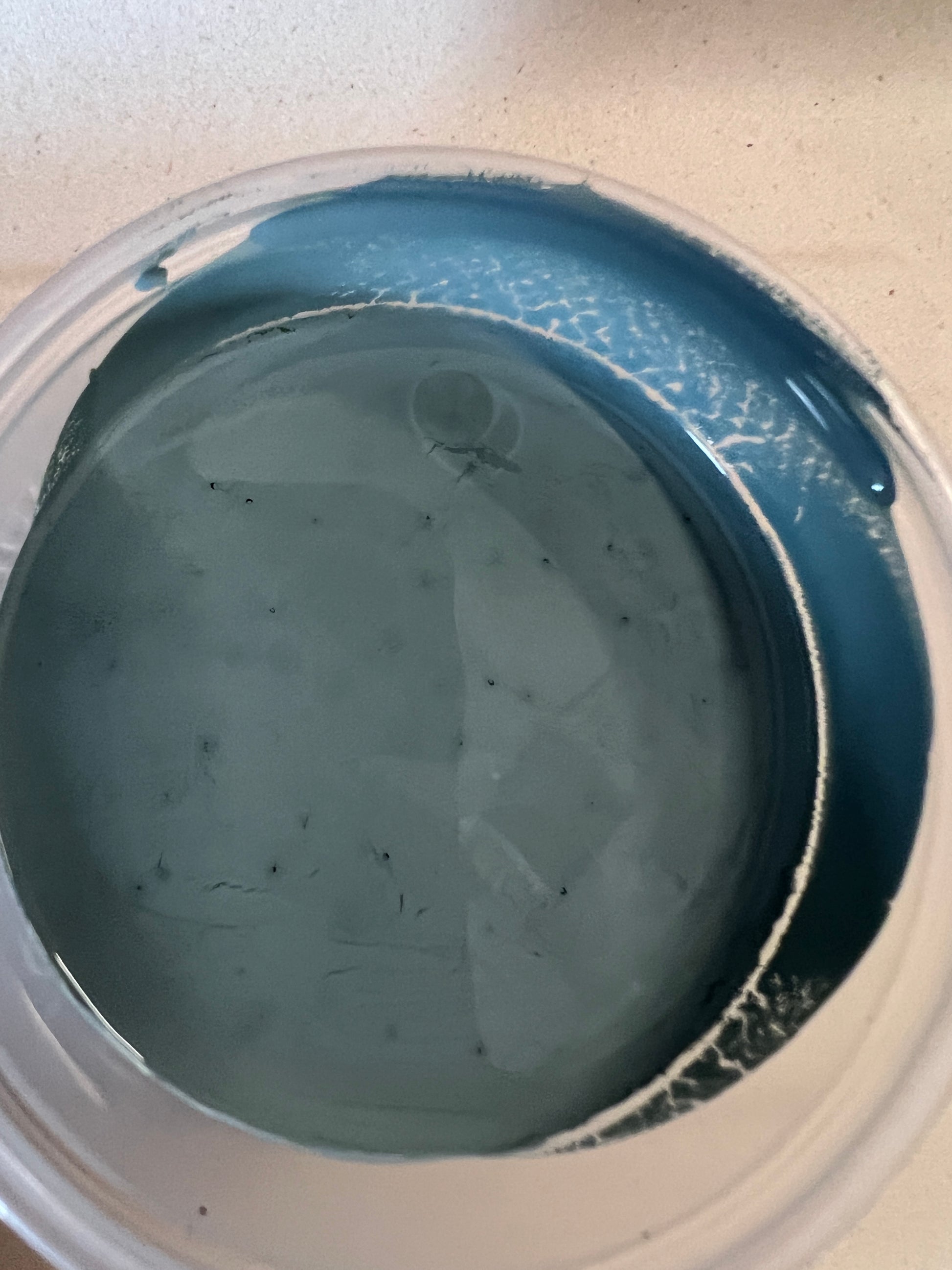 2025 Color Pots