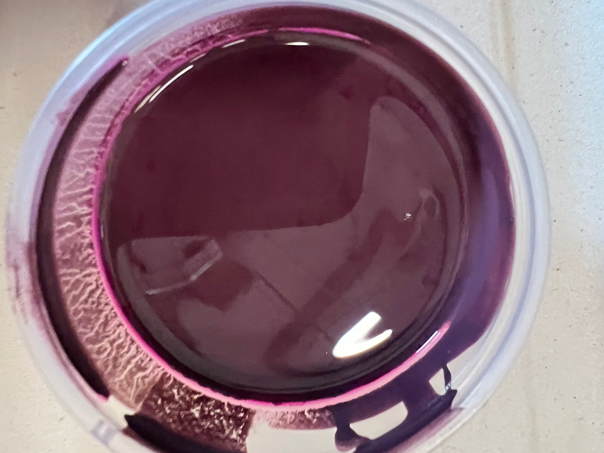 2025 Color Pots