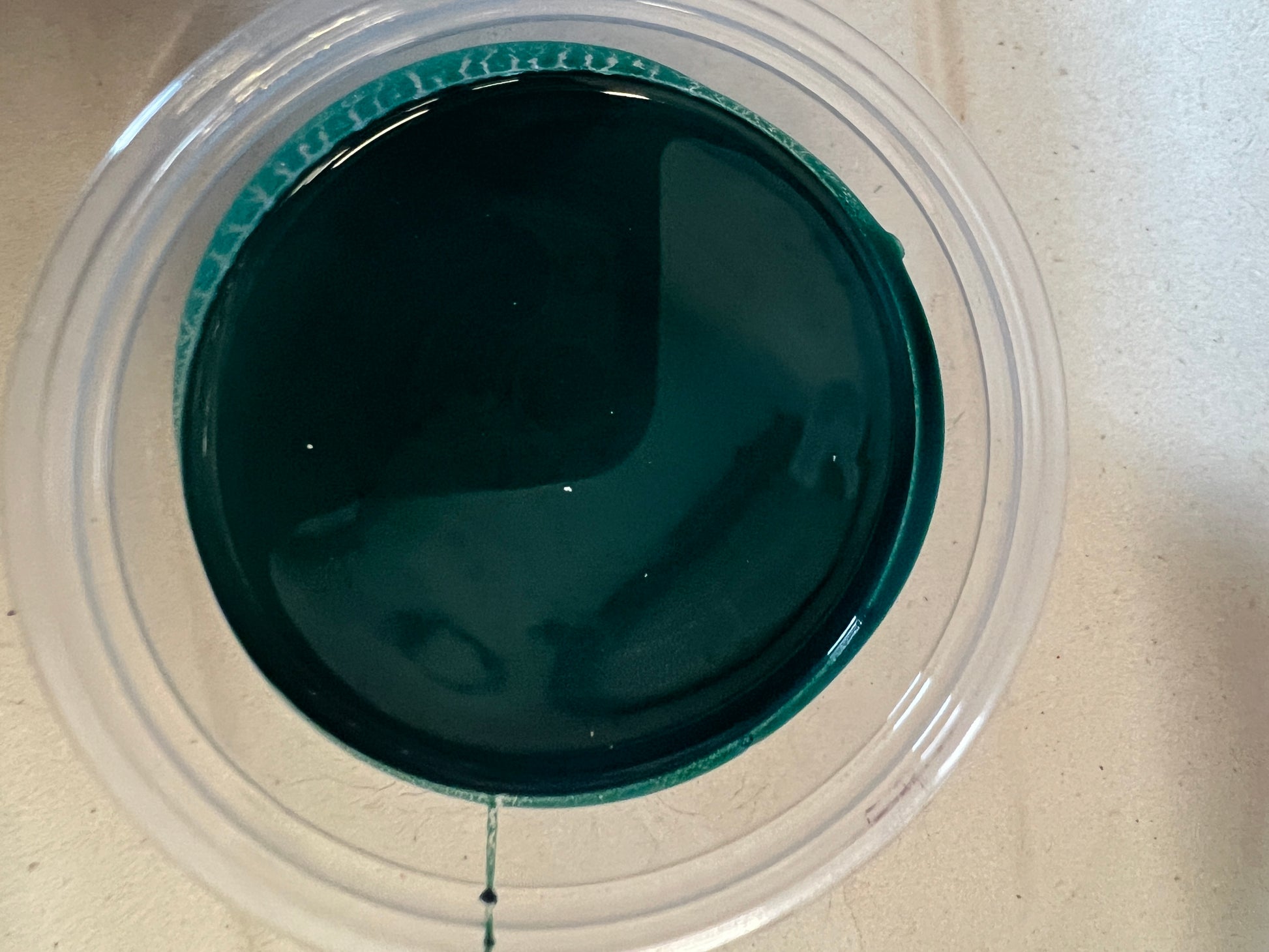 2025 Color Pots