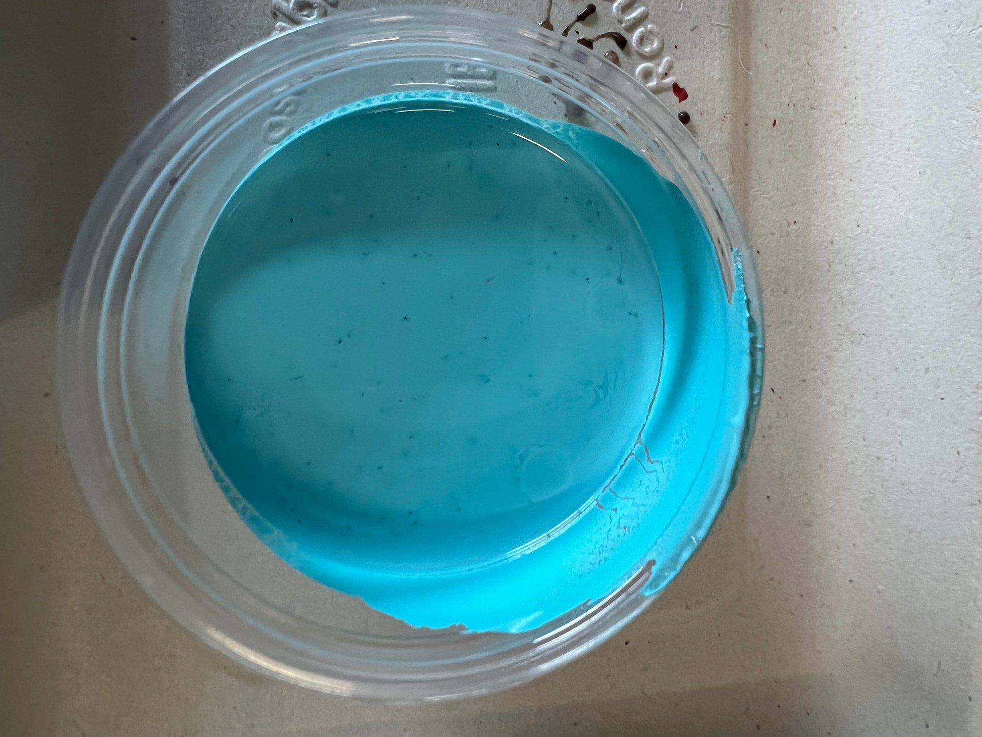 2025 Color Pots