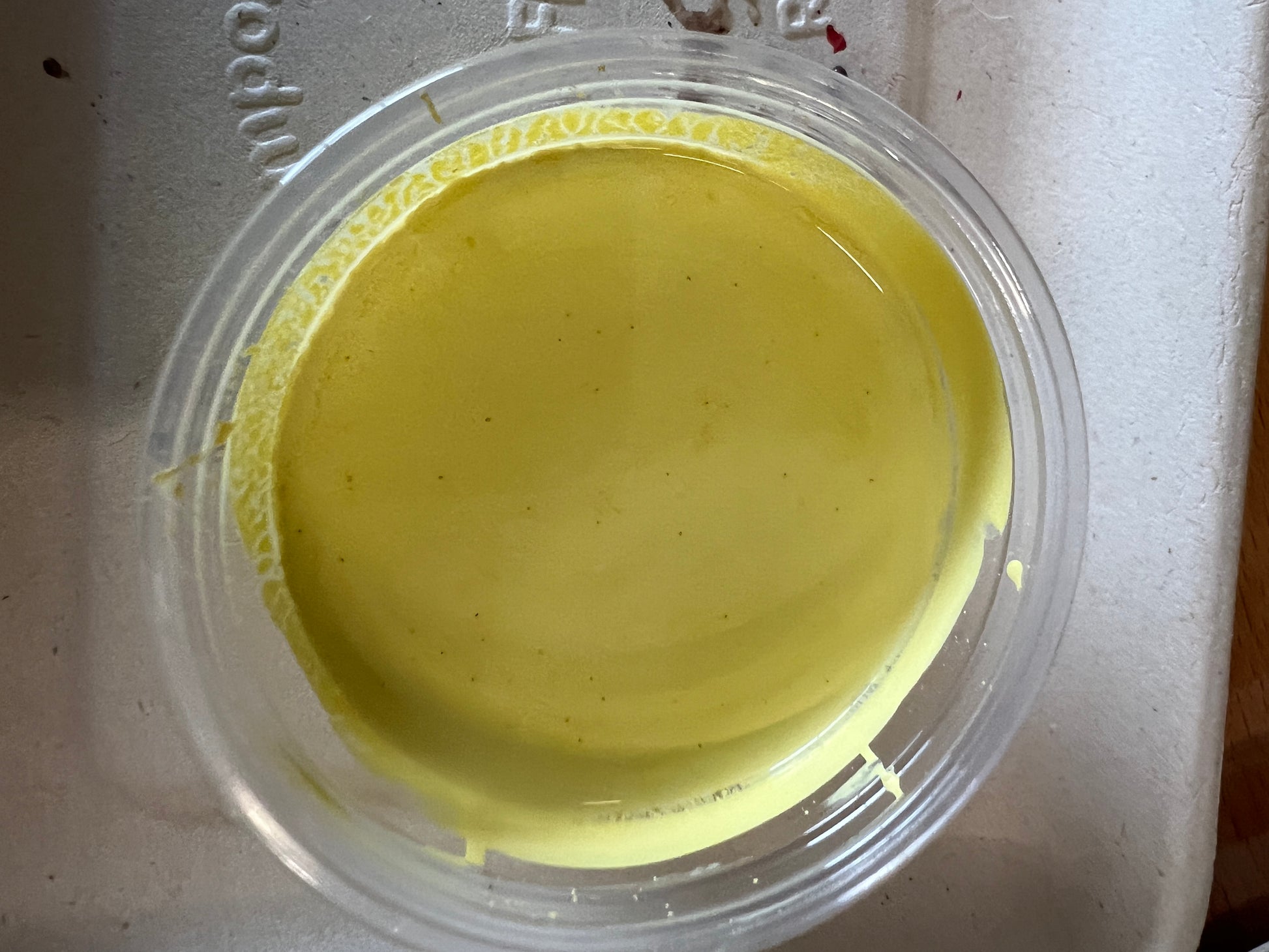 2025 Color Pots