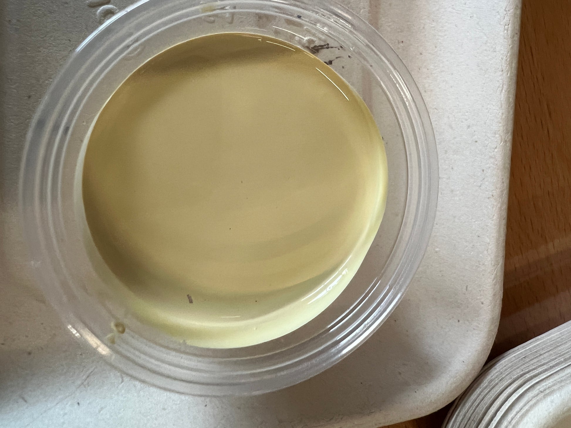2025 Color Pots