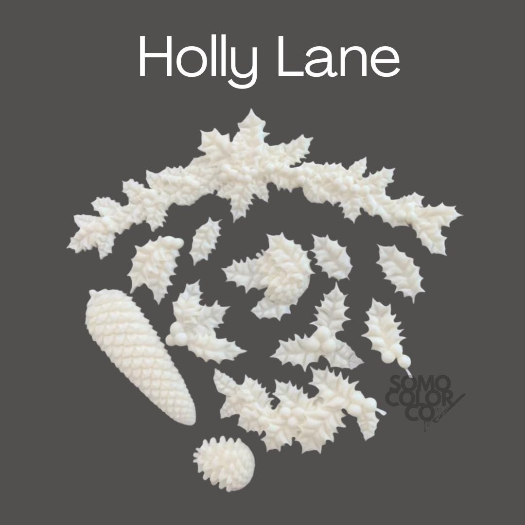 White sea shells on a dark gray background with 'Holly Lane' text.