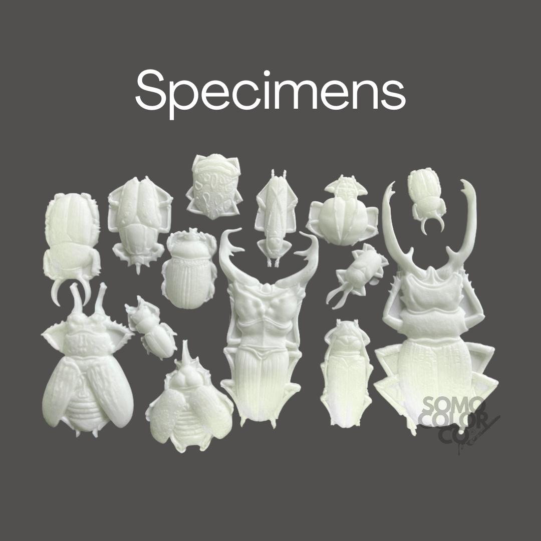 Collection of white 3D-printed specimen models on a dark background with 'Specimens' text above.