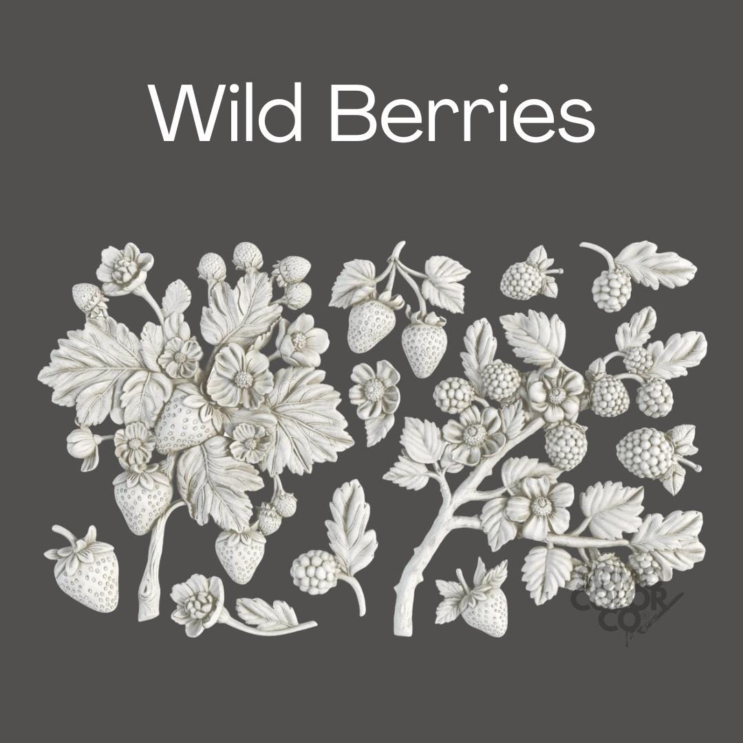 Illustration of wild berries and leaves with 'Wild Berries' text on a dark background